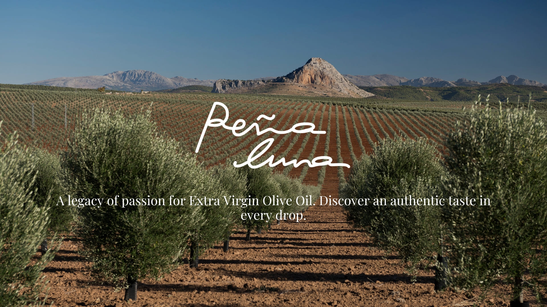 PEña luna BANNER