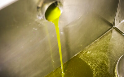 AOVE, aceite de oliva virgen y aceite de oliva: ¿Cuál es realmente la diferencia?