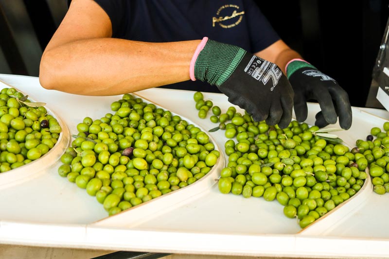Aceitunas Peñaluna